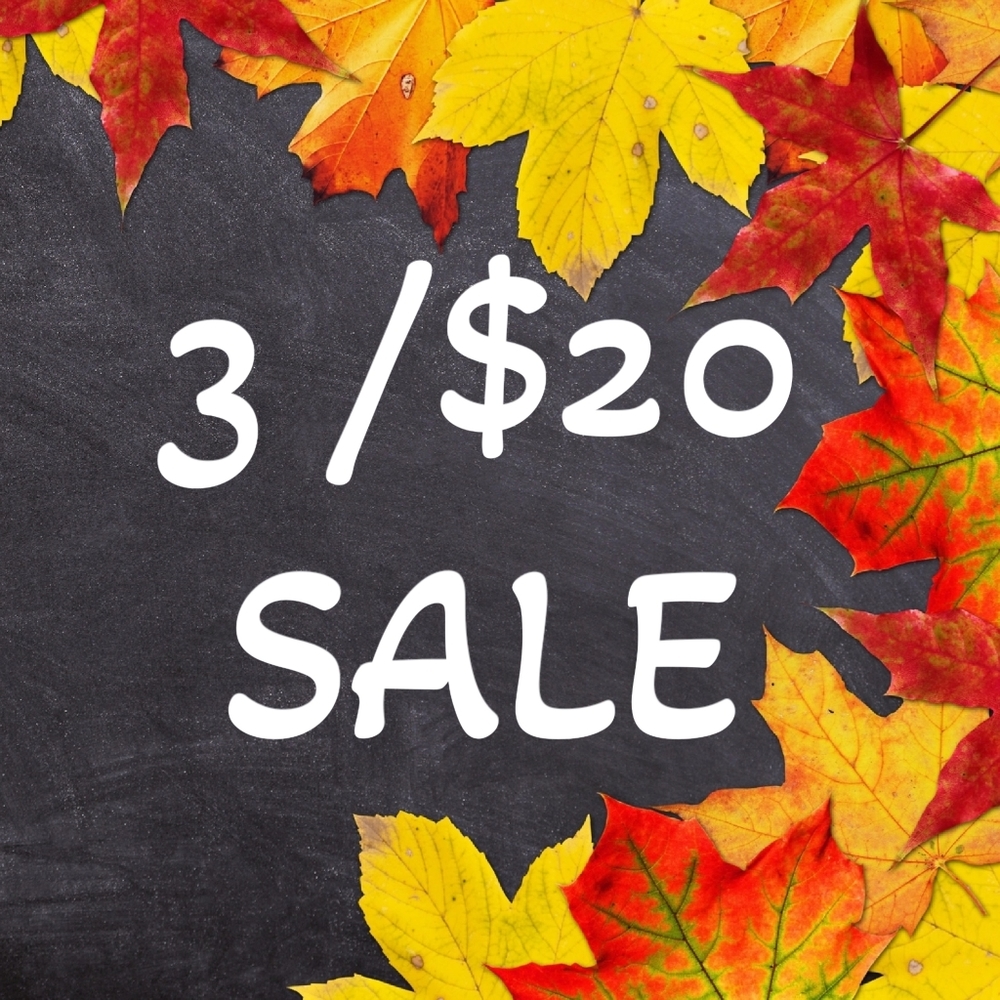 💥SALE💥 3 for $20